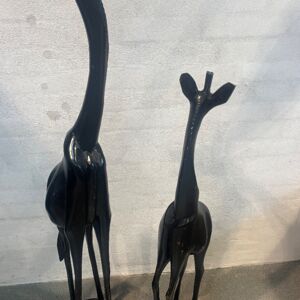 IMG_0032.jpeg