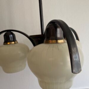 IMG_8540.jpeg