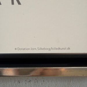 IMG_2625.jpeg