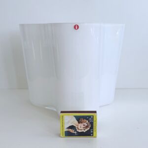 IMG_9820.jpeg