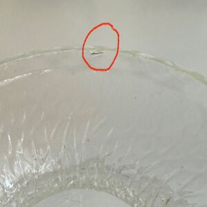 IMG_7745.jpeg